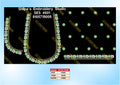 Embroidery Designs 4601-4700 Series