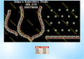 Embroidery Designs 4701-4800 Series